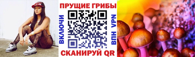 Галлюциногенные грибы Psilocybine cubensis  Балабаново 